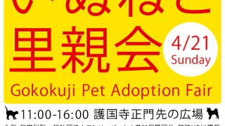 ４月２１日　護国寺で犬猫里親会を開催します